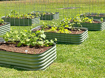 raised flower beds growing plants-Vegega