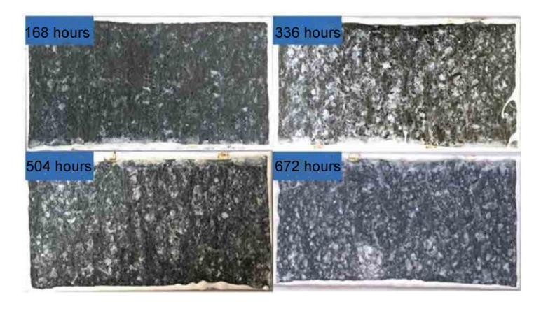 Zn-Al-Mg stainless steel using test-vegega