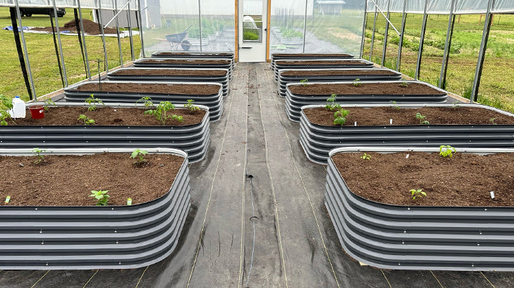 metal garden beds in greenhouse-Vegega