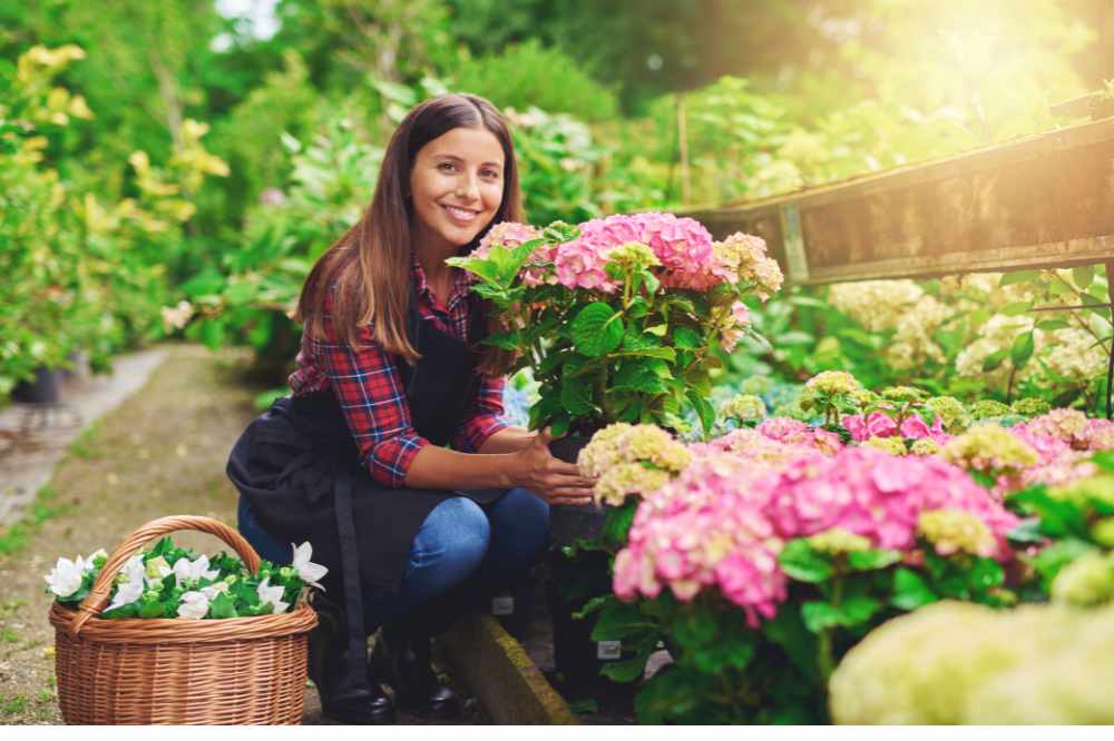 An Attractive Garden