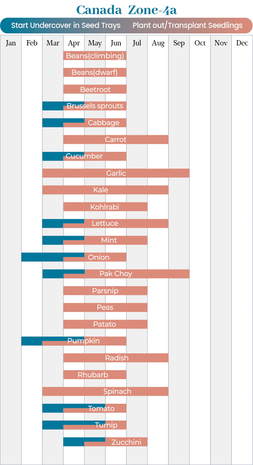 planting-calendar-for-Canada-zone-4-a