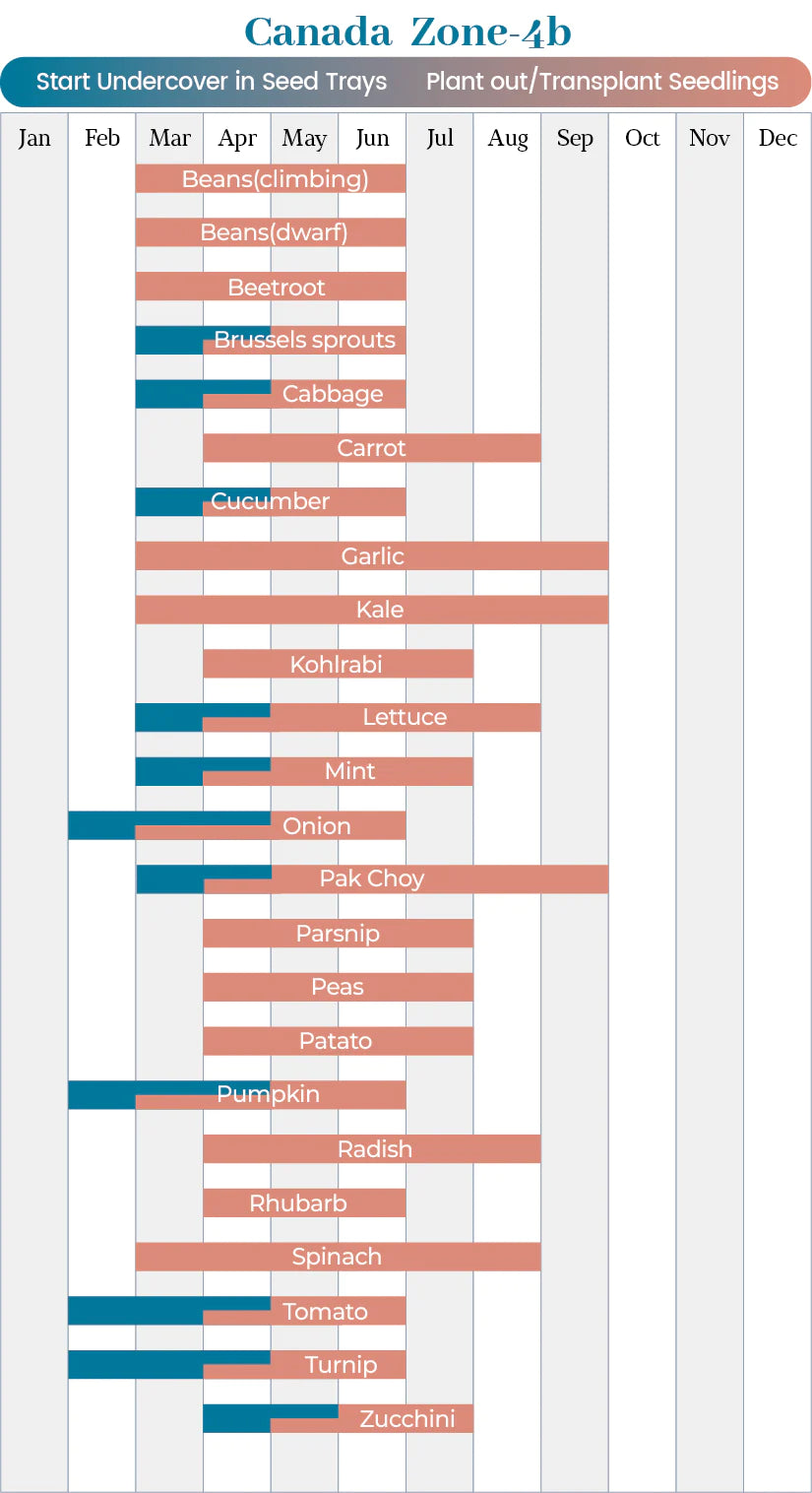 planting-calendar-for-Canada-zone-4-b