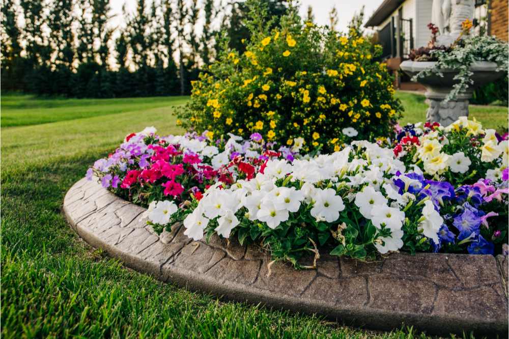 Colorful and bright flower beds in the backyard