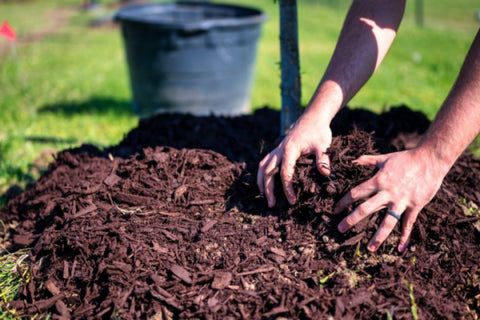 Mulch.