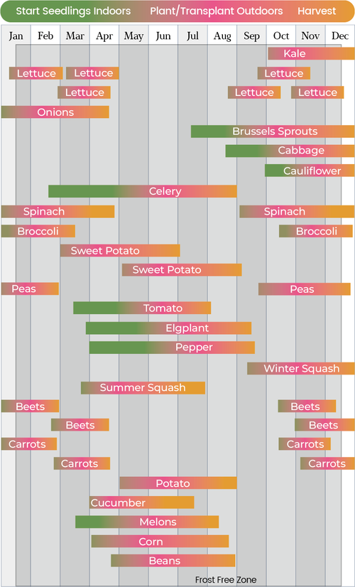 planting-calendar-for-USA-zone-10