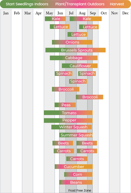 planting-calendar-for-USA-zone-4