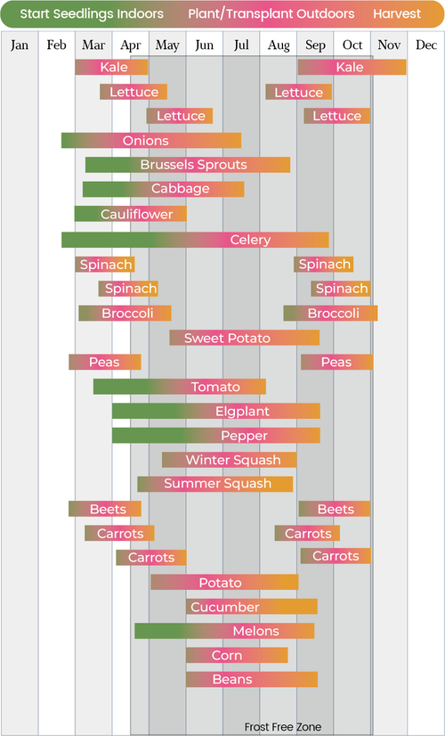 planting-calendar-for-USA-zone-7