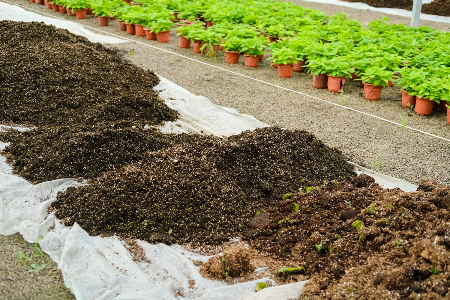 garden soil for your raised garden bed-vegega