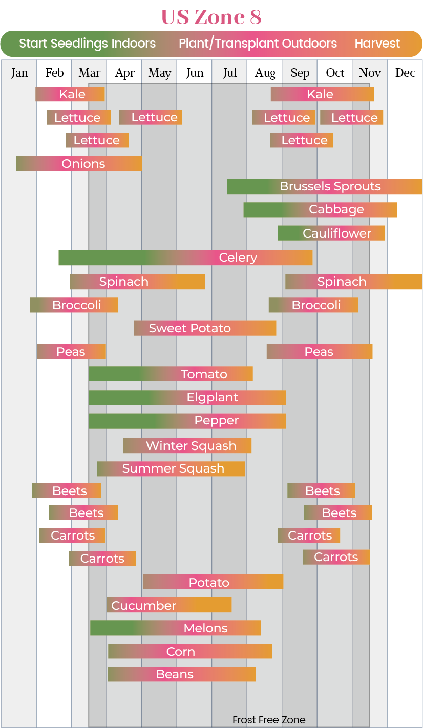 US Planting Zone 8