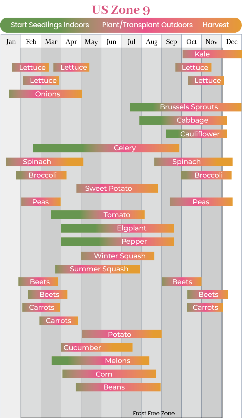 US Planting Zone 9