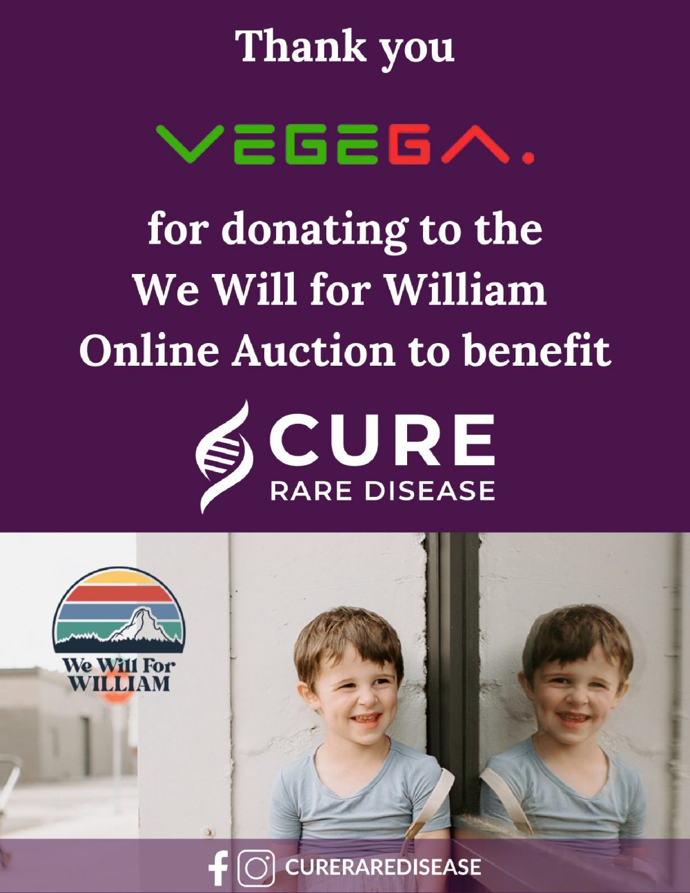 Vegega-CRD-In-Kind-Donation-Thank-You-Letter