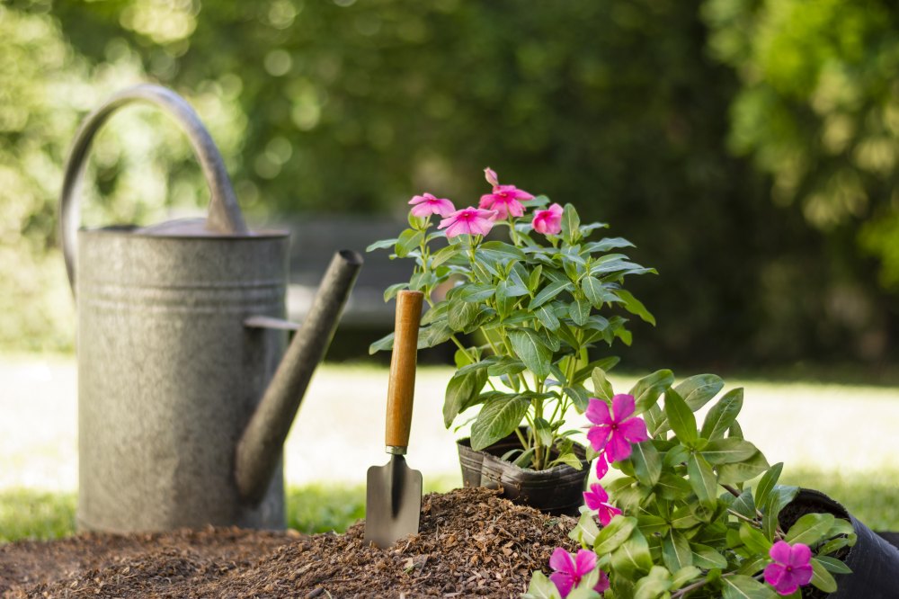 bloom flowers with gardening tool