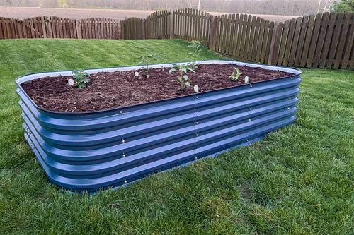 blue metal raised garden bed growing vegetables