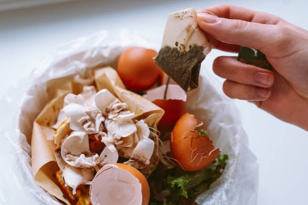 egg-shell-hand-holds-tea-bag