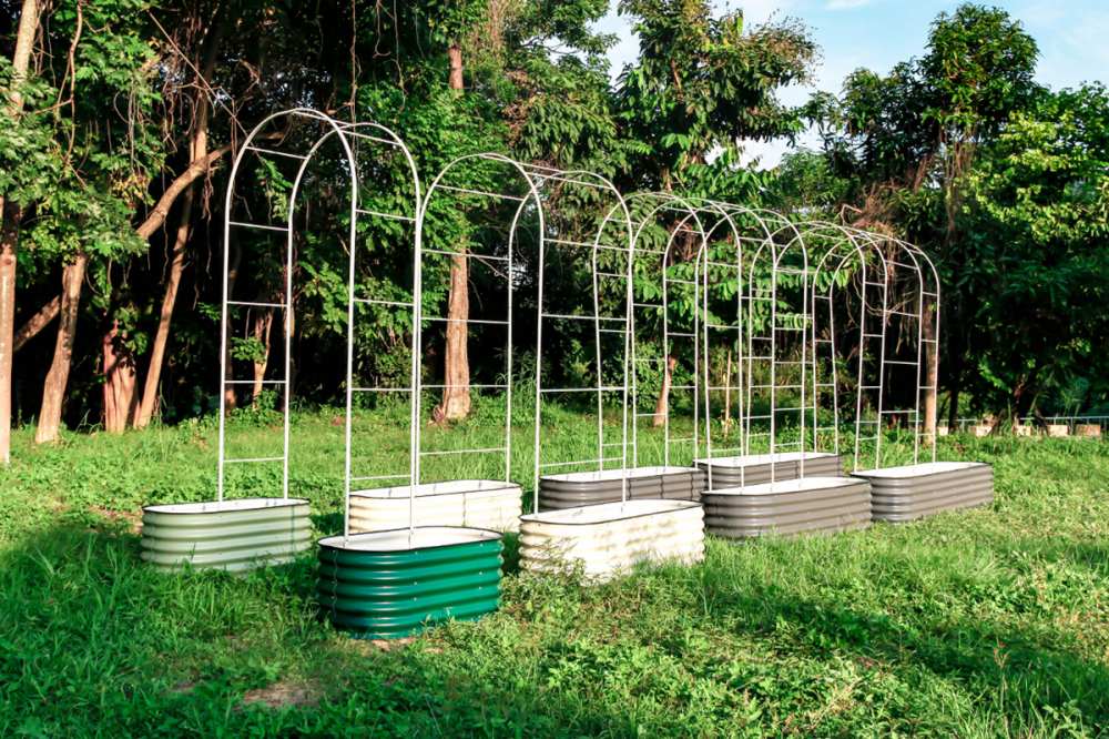 eight metal garden beds with arched trellis placed on the backyard