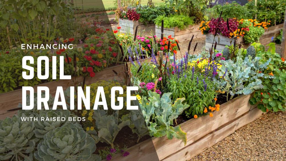 Enhancing Soil Drainage with Raised Beds