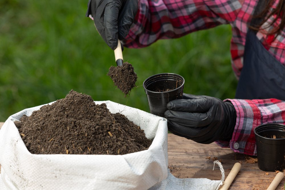 fill-soil-into-small-pot-by-garden-trowel