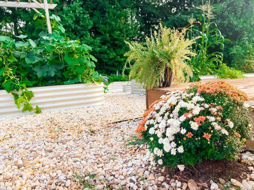 flowery garden in metal raised beds-vegega