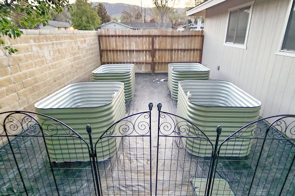 four green 32-inch metal raised garden beds place on black plastic in the backyard