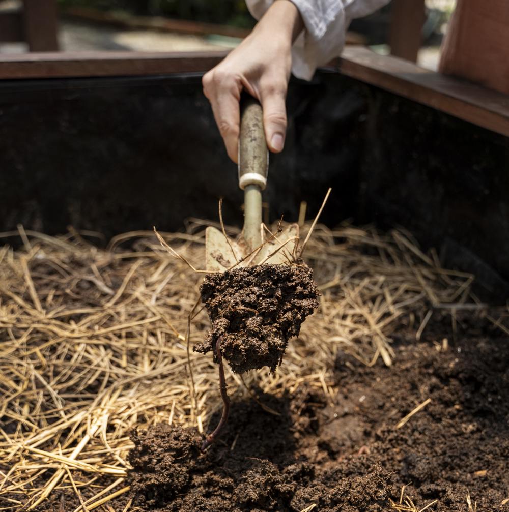 hand-holding-trowel-to-take-hay-mulch-in-a-garden-bed-Vegega