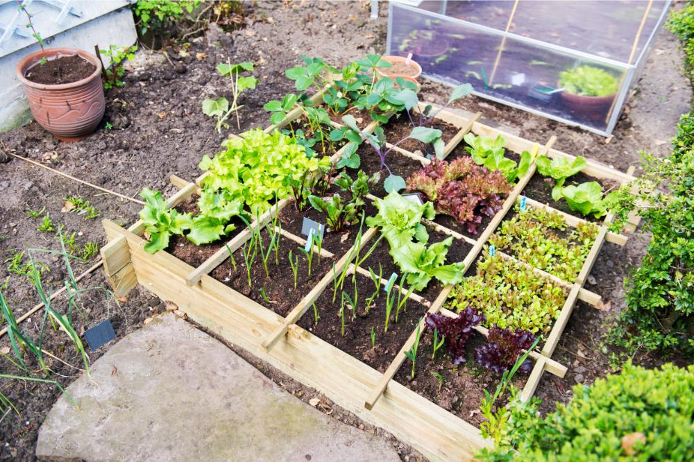 herb garden ideas