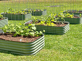 raised flower beds growing plants-Vegega