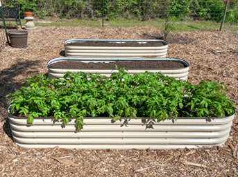 raised planter boxes growing vegetables outdoor-Vegega