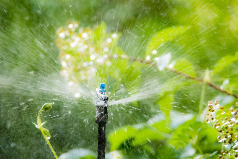 irrigation-system-spraying-water