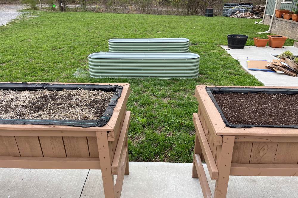 mulch in garden bed