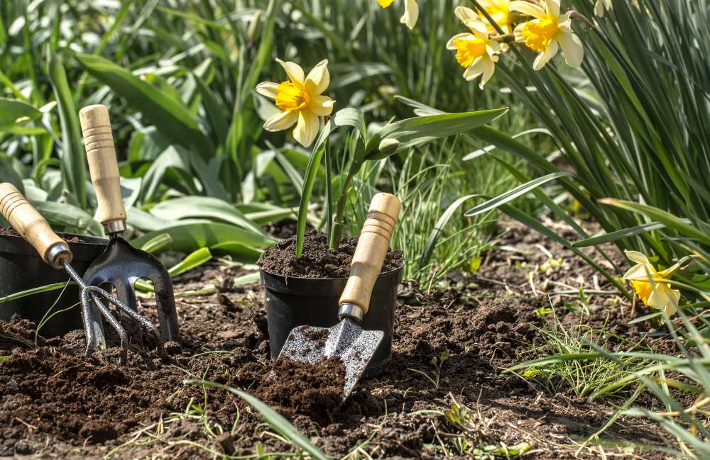 planting-flowers-garden-spring