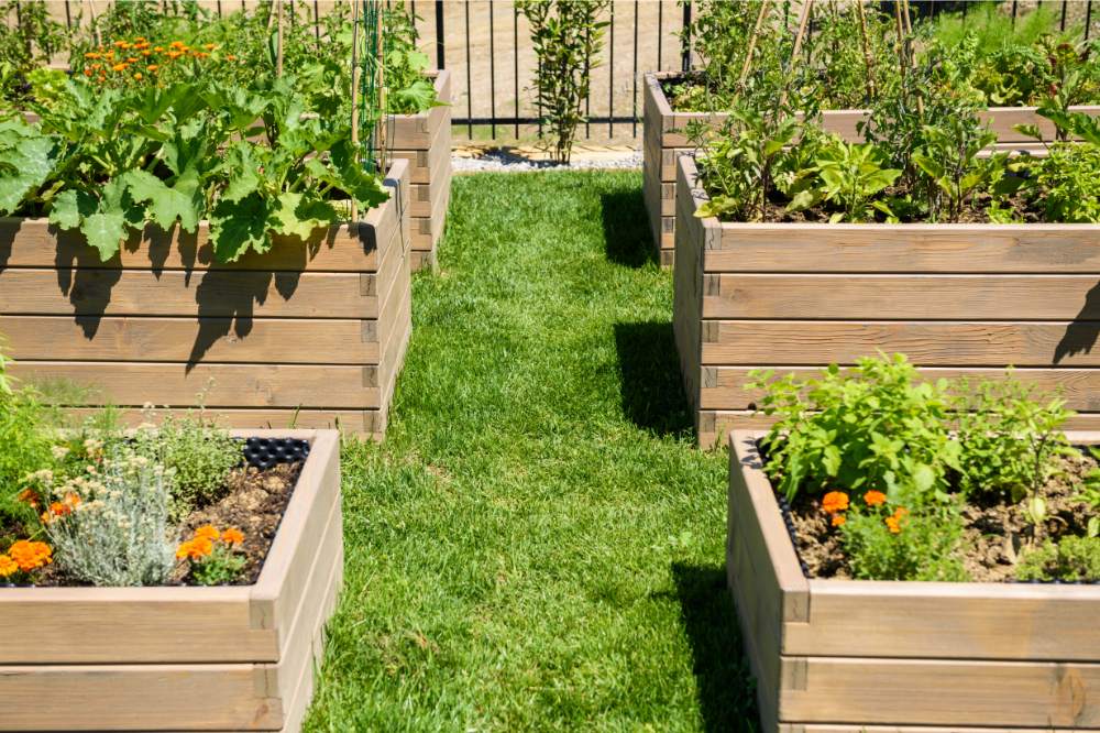six vegetable wooden garden beds