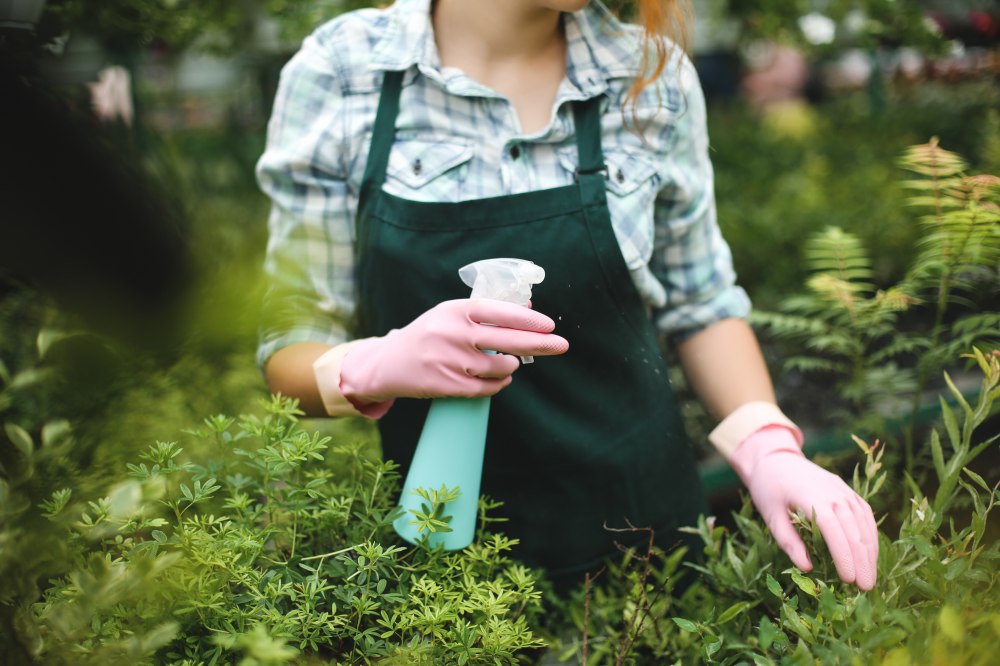 woman-hands-pink-gloves-spraying-plants-leaves