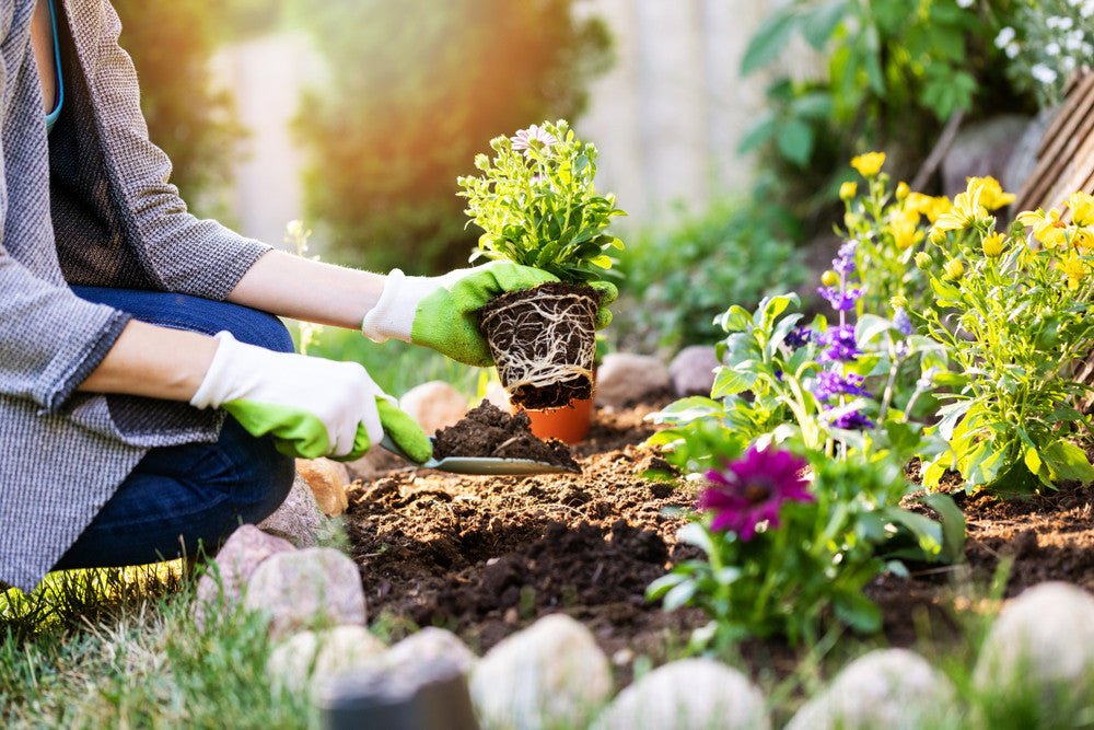 5 All-Natural Ways to Keep Your Garden Bed Weed-Free-Vegega