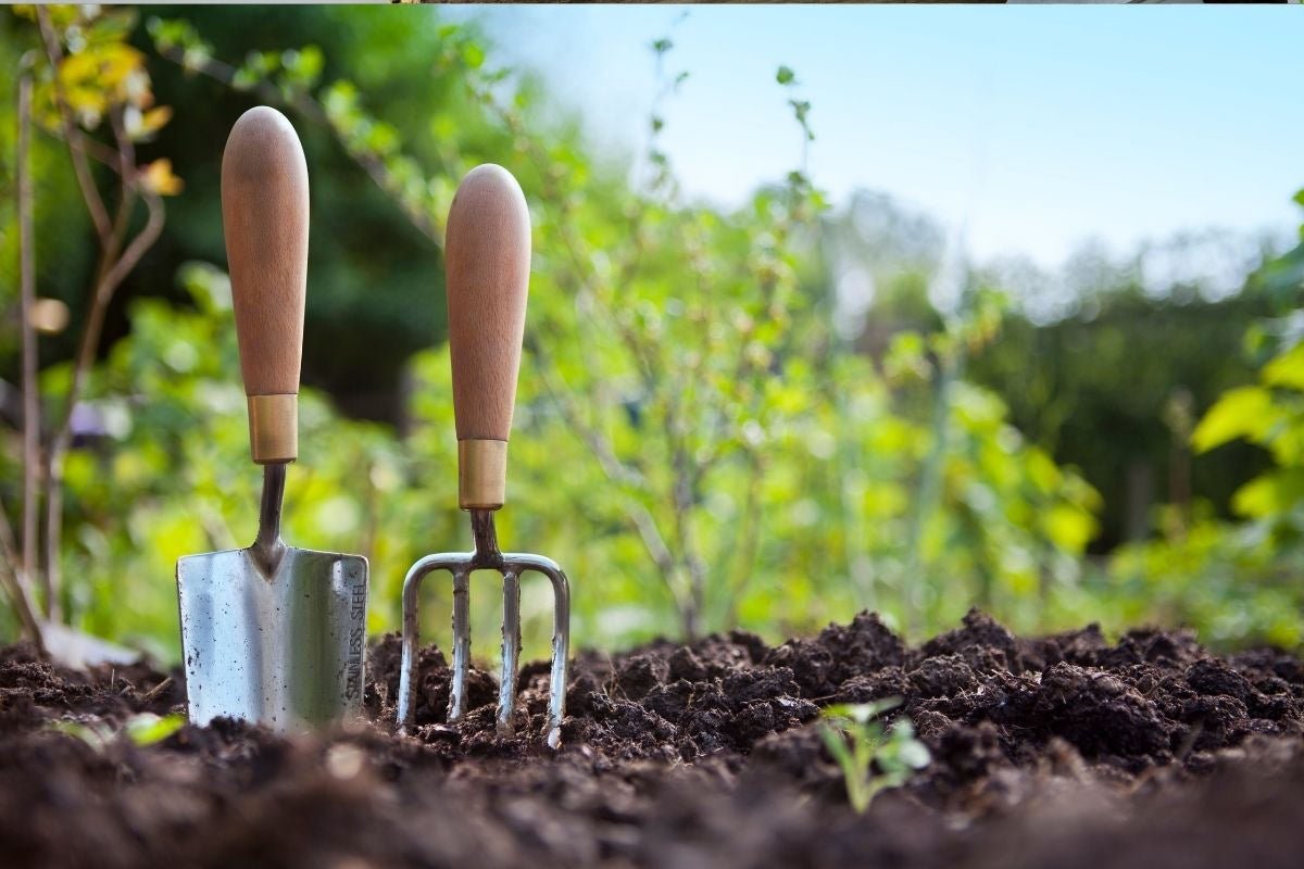 7 Reasons Why Gardening Gets Harder As You Age-Vegega