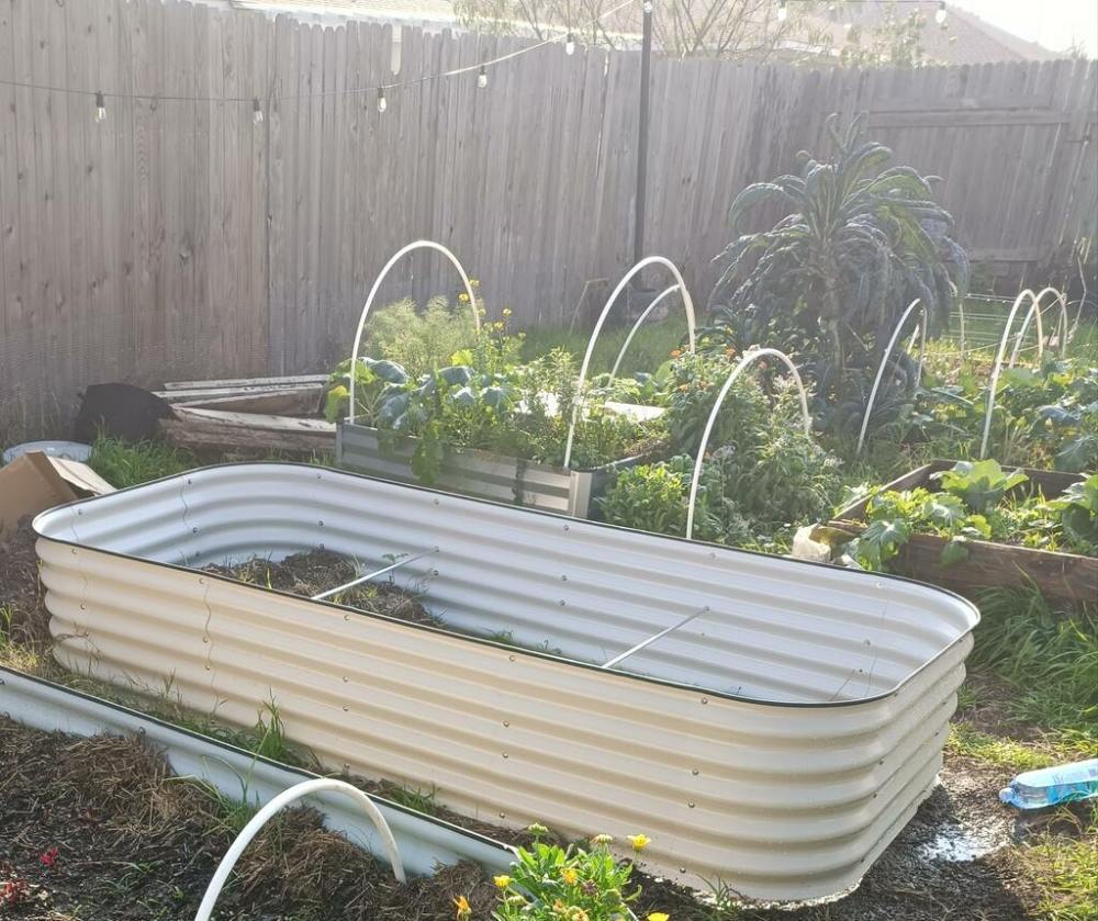 a mess backyard with empty metal raised garden beds and fruitful wooden raised garden bed