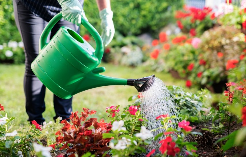 water the flowers in garden