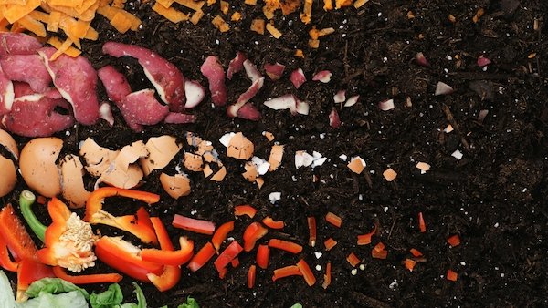 Break things down for compost-Vegega