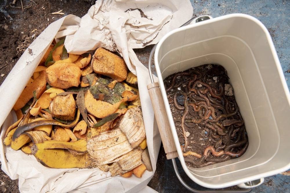food-waste-compost
