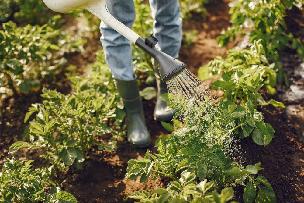 Gardening Helps the Environment