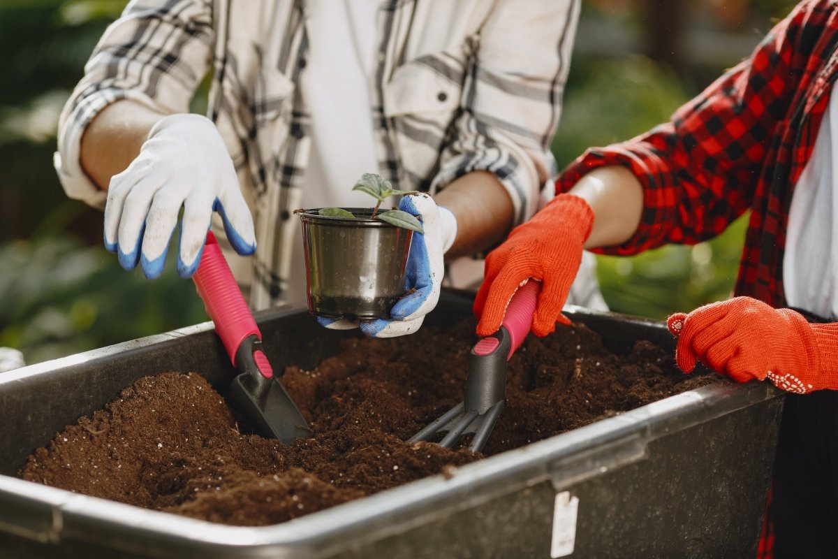two people wearing garden gloves holding garden tools to plant seedlings