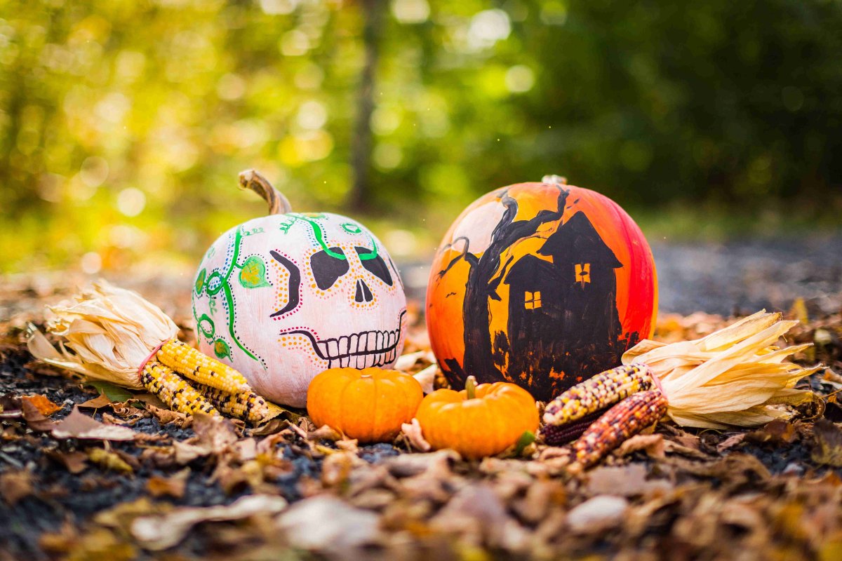 Halloween pumpkin decorations-VEGEGA garden bed