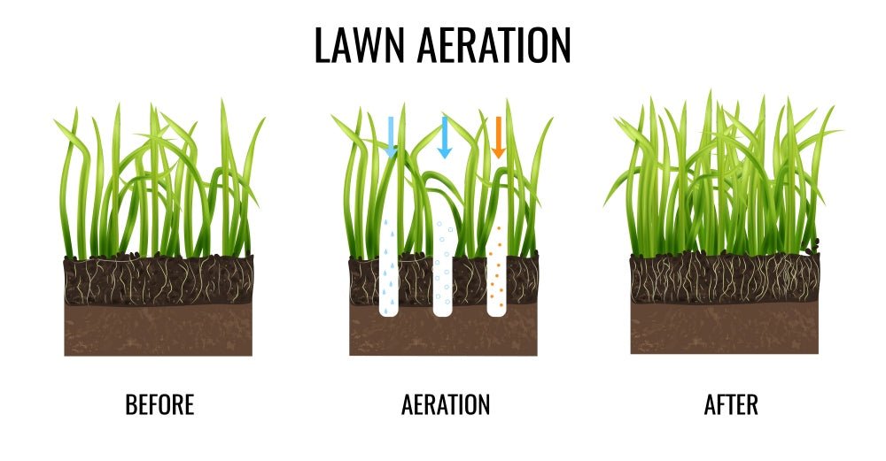 illustration-of-the-process-of-lawn-aeration