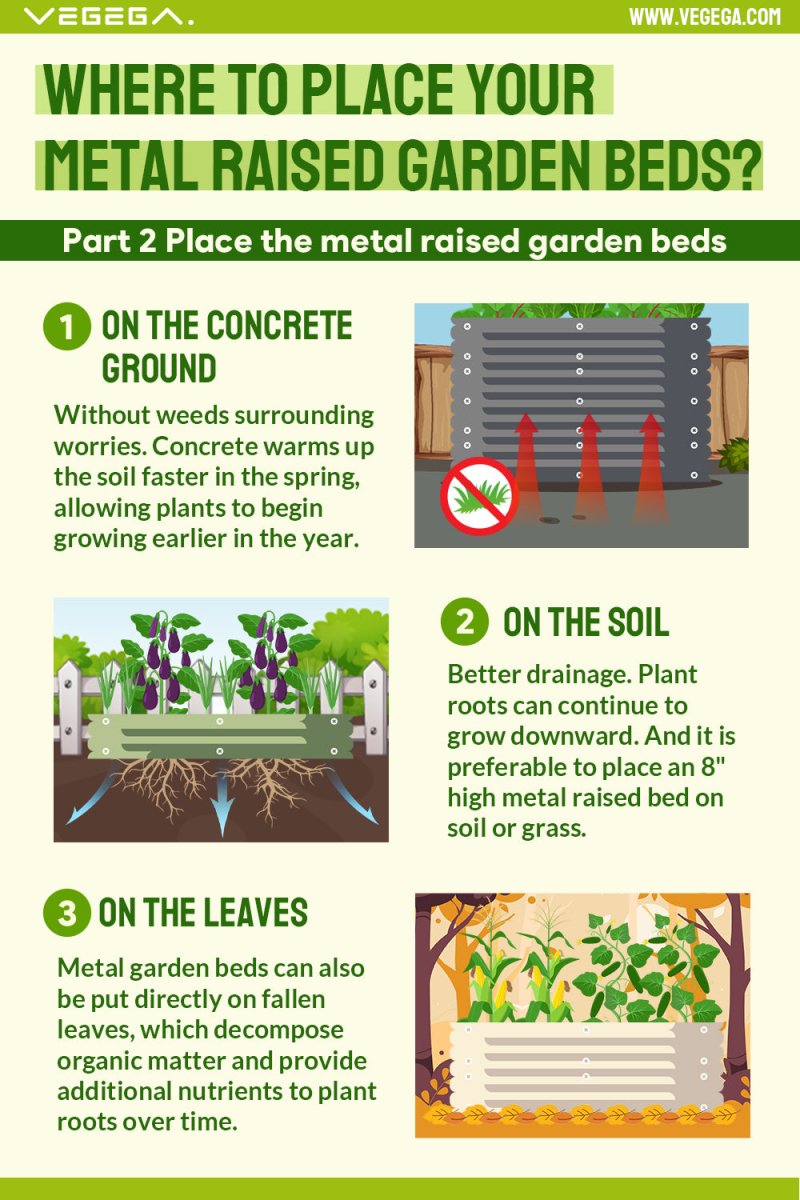 Vegega Infographics for place the metal raised garden beds