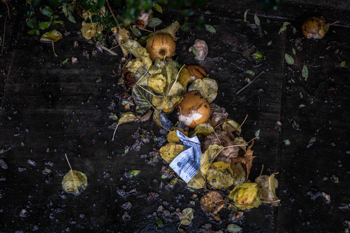 kitchen-waste compost