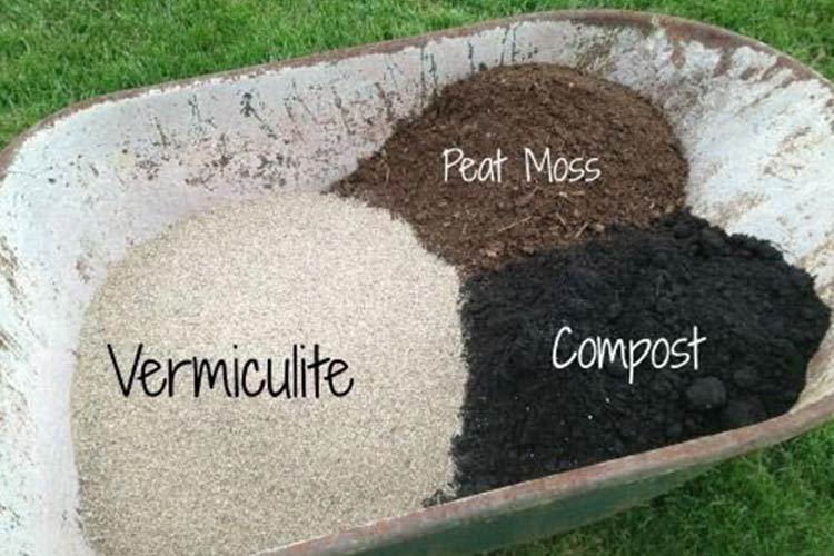 Vermiculite and Compost and  Peat Moss for soil mix