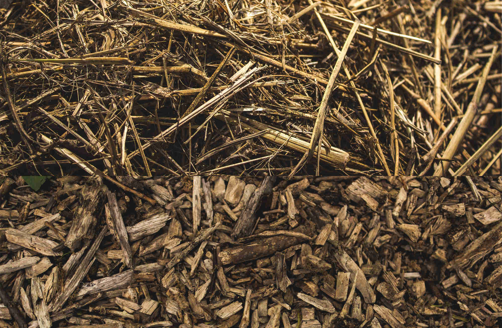 straw and bark chips of mulch