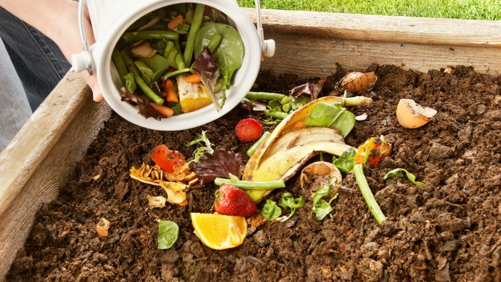 The ultimate guide to composting-Vegega