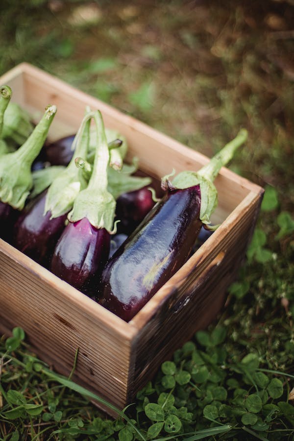 A basket of eggplant