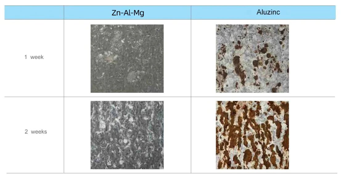 Super Corrosion Resistance-Vegega