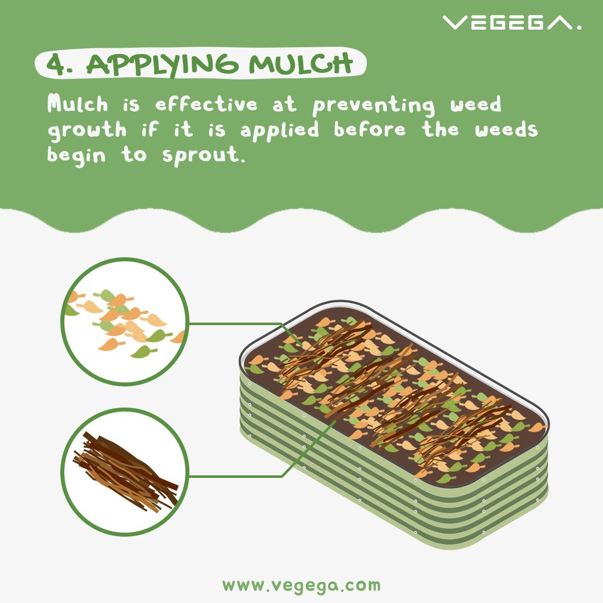 Vegega-Infographic-applying-mulch-on-metal-raised-garden-bed